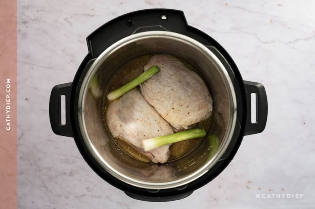 Easy Recipe for Hainanese Chicken Rice (in the Instant Pot!) - By Cathy
